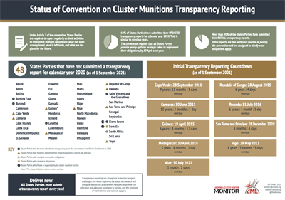 CCM Transparency Reporting